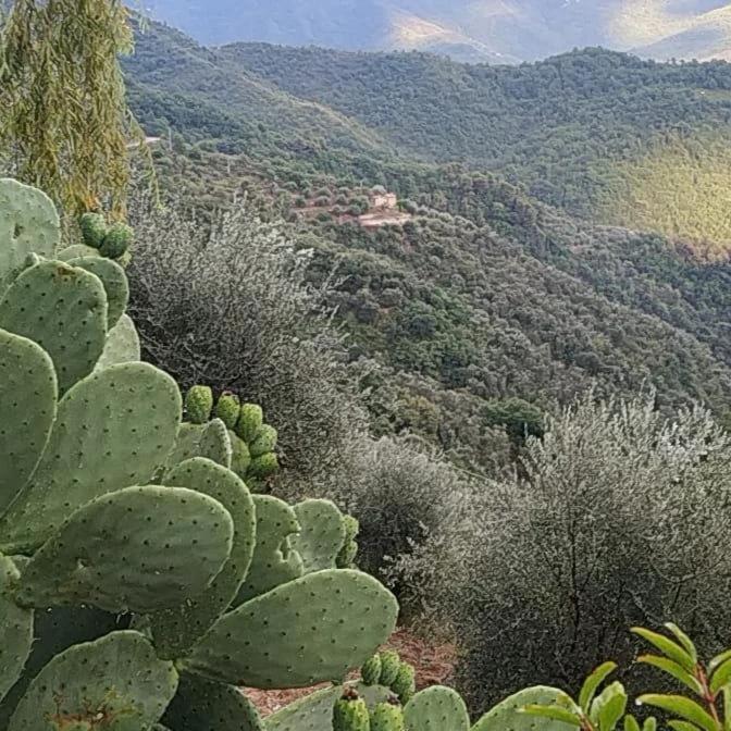 Incantevole La Grotta Apricale